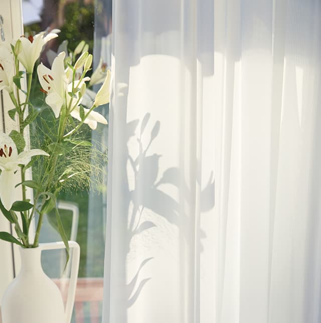 Weiße Gardine und eine Blume am Fenster.
