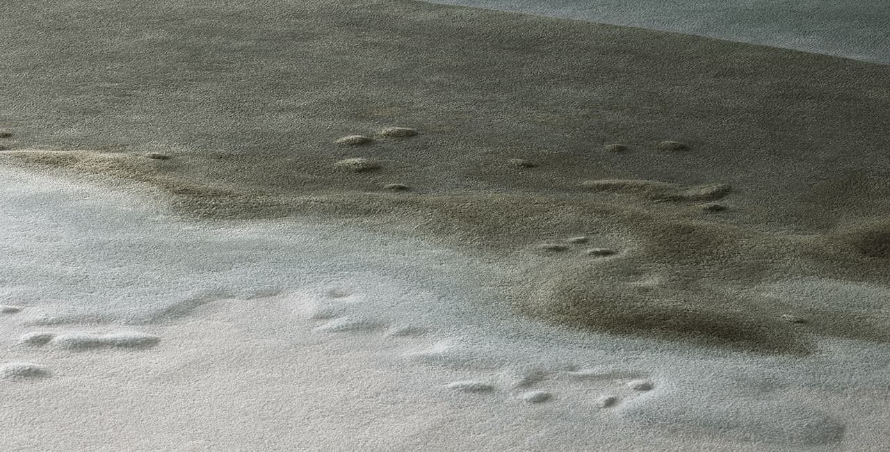 Nahaufnahme von einem Teppich der von der Farbe hellbalu in grün übergeht